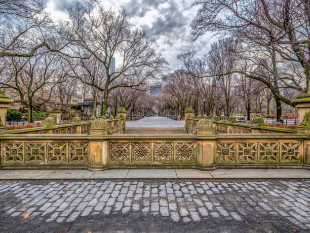 istock Central Park, New York City 1039582182