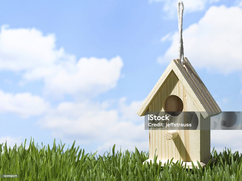 birdhouseingrass - Foto de stock de Ajardinado royalty-free