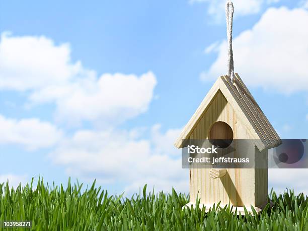 Foto de Birdhouseingrass e mais fotos de stock de Ajardinado - Ajardinado, Azul, Azul Turquesa