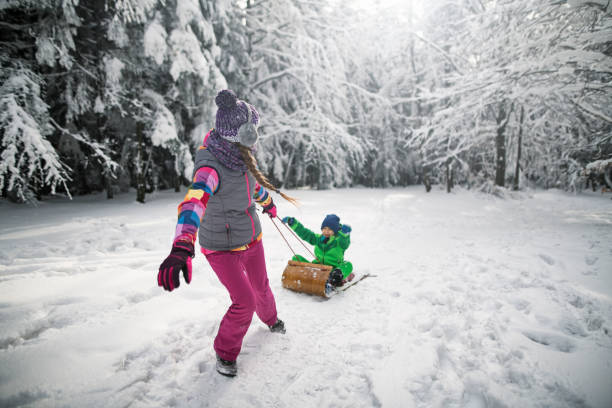 istock Sister pulling younger brother on toboggan 1039583844
