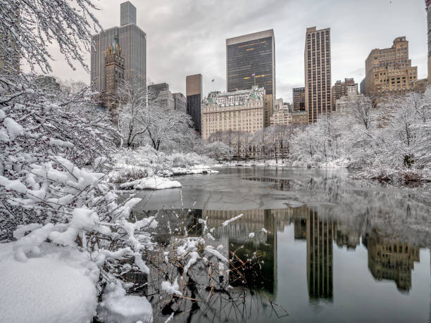 istock Central Park, New York City 1039584824