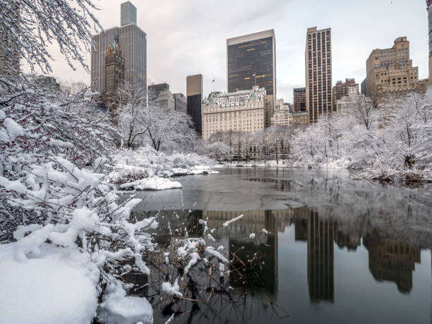 istock Central Park, New York City 1039584880