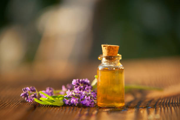istock lavender essential oil in  beautiful bottle on table 1039585358