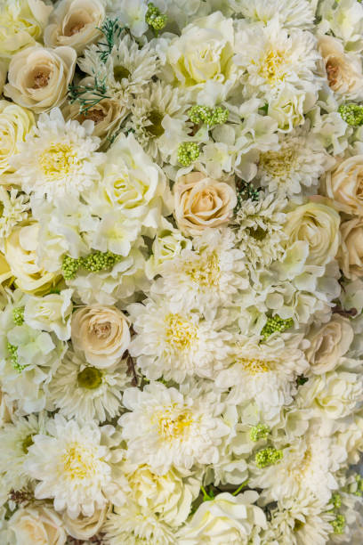 istock bouquet with white rose bush, as a background 1039585444