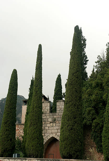 montserrat monastery - moreneta zdjęcia i obrazy z banku zdjęć