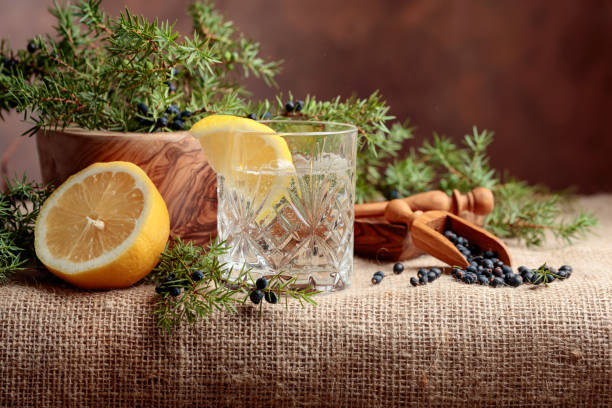 cocktail gin, tonic with lemon and a branch of juniper with berries. - fruit freshness tree foods and drinks imagens e fotografias de stock