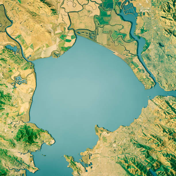 istock San Pablo Bay 3D Render Topographic Map Color 1039599516