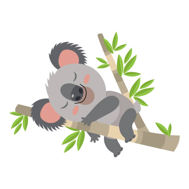 faul koala schläft auf einem zweig-cartoon-vektor-illustration. tier von australien. - koala australia animal isolated stock-grafiken, -clipart, -cartoons und -symbole