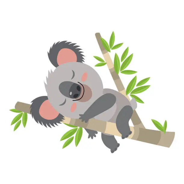 Vector illustration of Lazy Koala Sleeping On A Branch Cartoon Vector Illustration. Animal Of Australia.