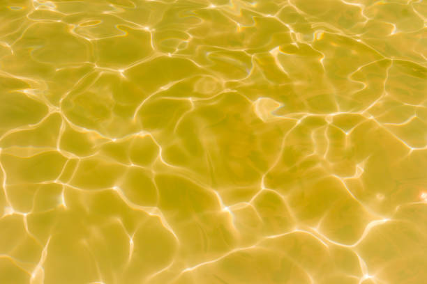 istock Gold swimming pool rippled water 1039604688