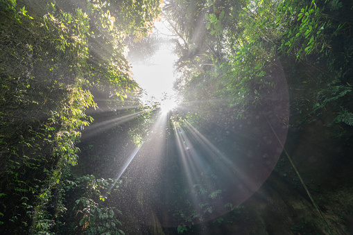 Beautiful sunlight effect coming from above rocks in rainforest cave in Bali, Indonesia