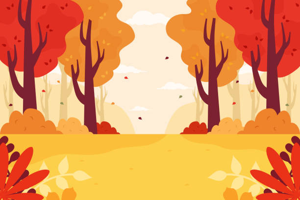 ilustraciones, imágenes clip art, dibujos animados e iconos de stock de bosque de otoño - otoño ilustraciones