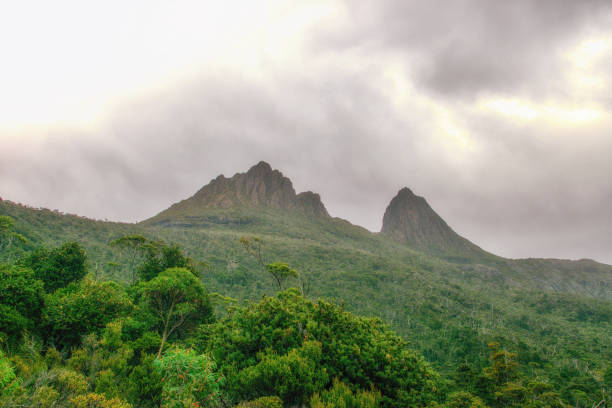 istock National Park. Tasmania. Australia 1039606606
