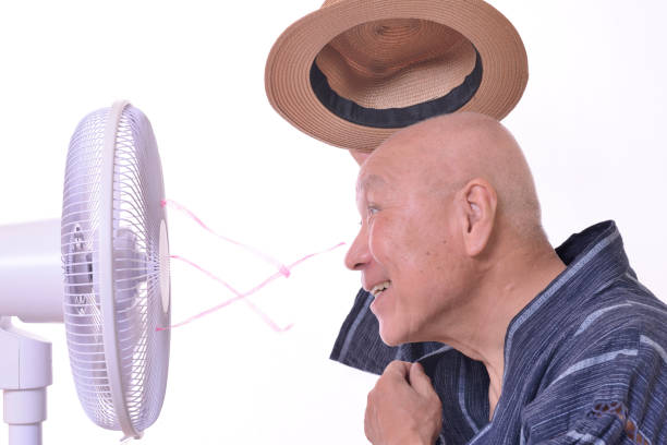 Fan and Japanese senior