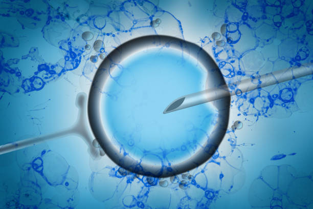 Assisted reproductive technology in fertility treatment Assisted reproductive technology in fertility treatment concept human fertility stock pictures, royalty-free photos & images