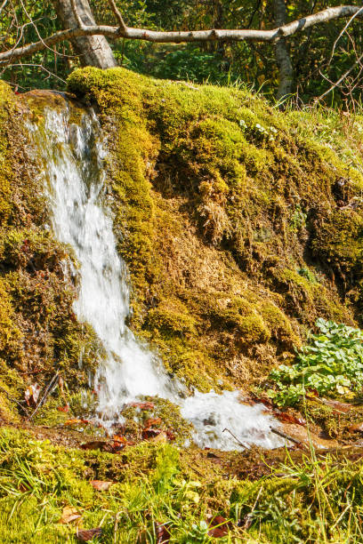 istock Beautiful green small waterfall in a summer forest. 1039610350