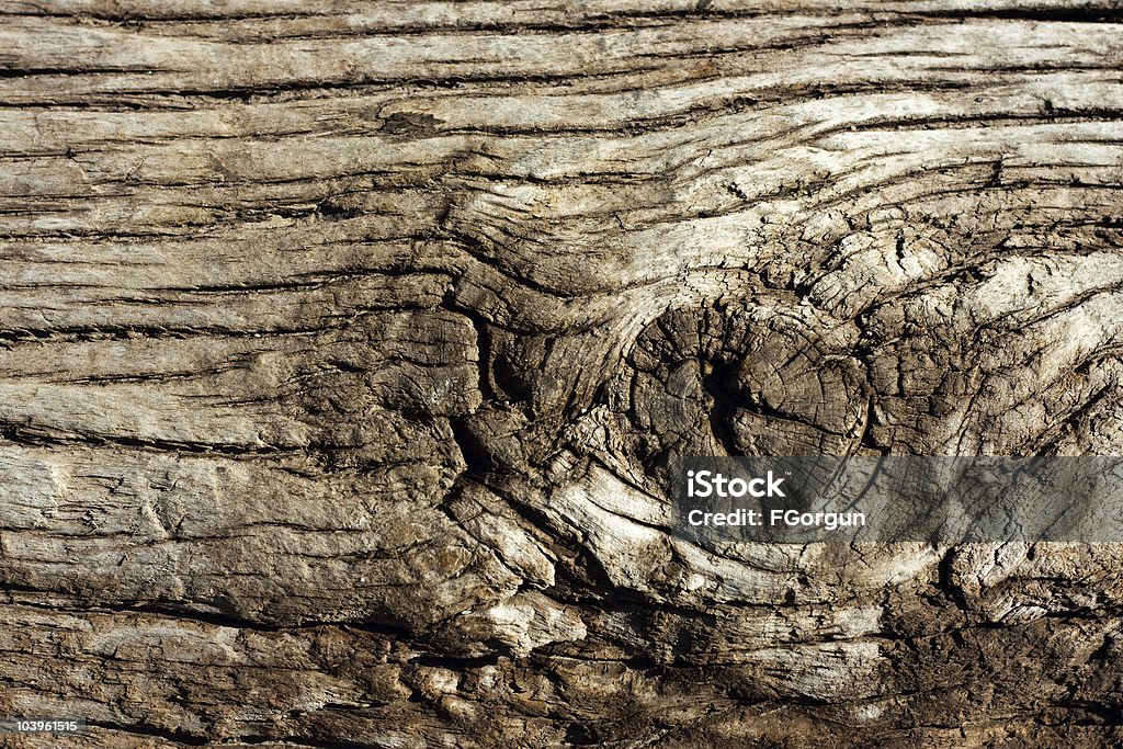 Дерево с узлом - Стоковые фото Без людей роялти-фри