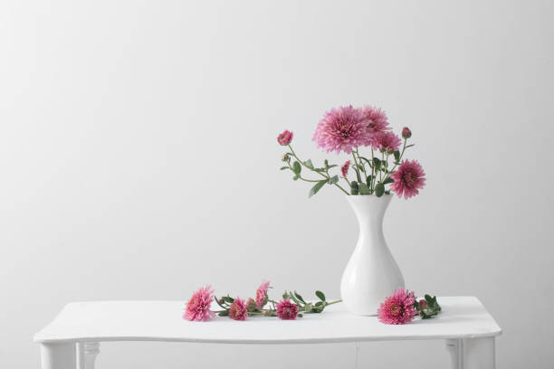 istock still life with chrysanthemums on white background 1039623582