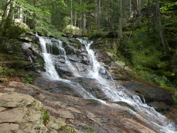 istock wild waterfall in the landscape of the bavarian forest 1039623708