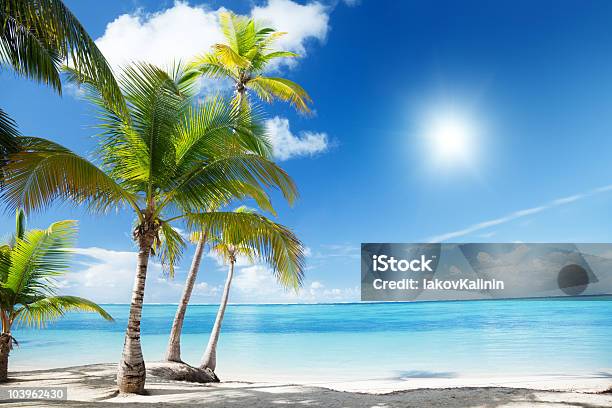 Karibisches Meer Und Kokospalmen Stockfoto und mehr Bilder von Atlantik - Atlantik, Baum, Blatt - Pflanzenbestandteile