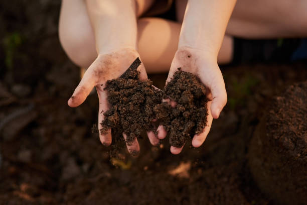 istock He loves getting down and dirty 1039625544