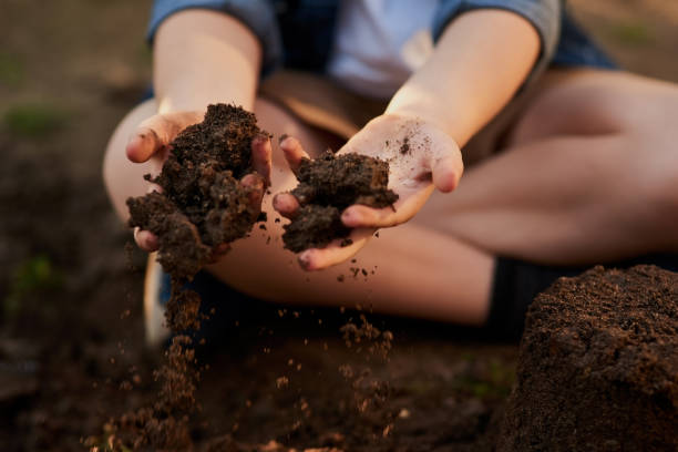 Cropped shot of an unrecognizable little boy's hand's holding soil outside