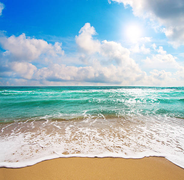 istock beach and sea 103963094