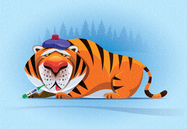 sick tiger with thermometer and ice pack vector illustration of sick tiger with thermometer and ice pack weak cat stock illustrations