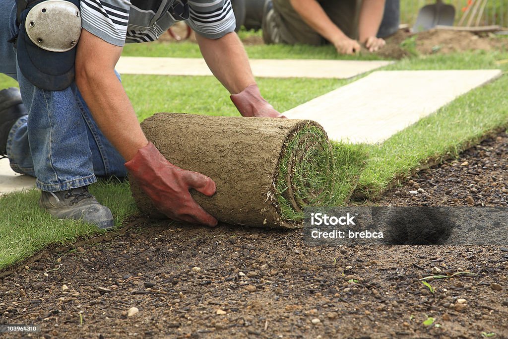 Establecer La sod de la nueva lawn - Foto de stock de Ajardinado libre de derechos