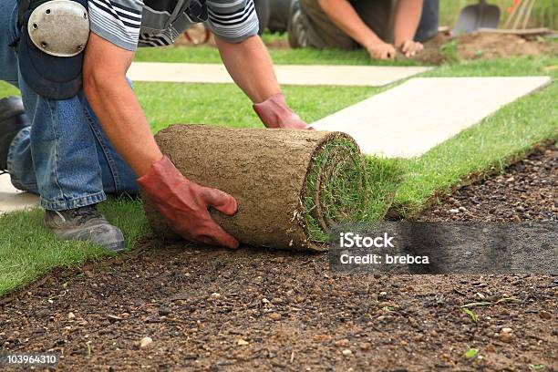 Establecer La Sod De La Nueva Lawn Foto de stock y más banco de imágenes de Ajardinado - Ajardinado, Terreno de juego, Instalar