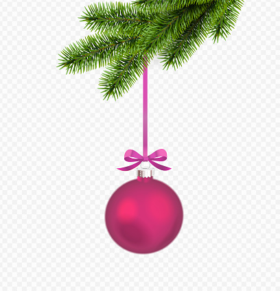 Vector pink christmas decoration with pine branch isolated on transparent background.