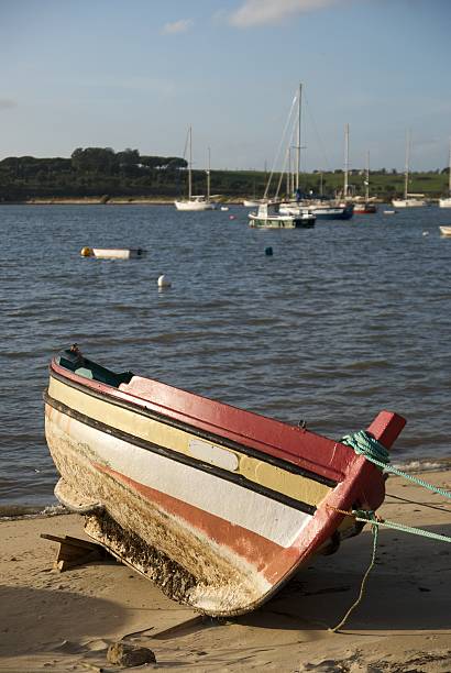 istock Fishing boat in Alvor 103964873