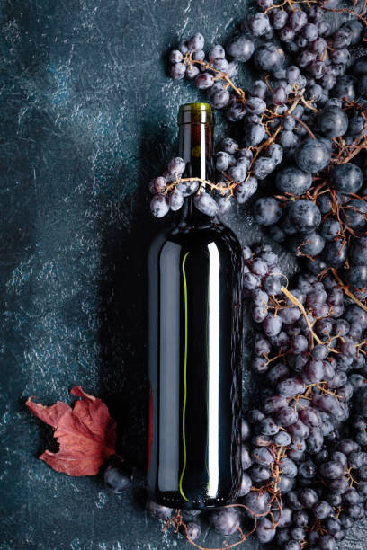 istock Bottle of red wine and grapes. 1039653444