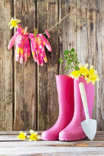 istock rubber boots and spring flowers on wooden background 1039657574