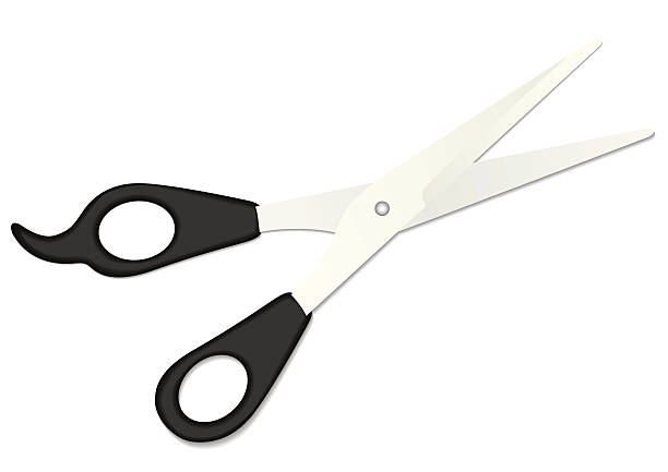 scissors vector art illustration