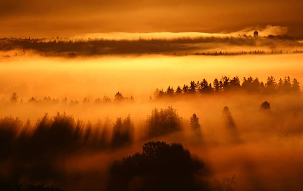 istock sunrise fog 103966309