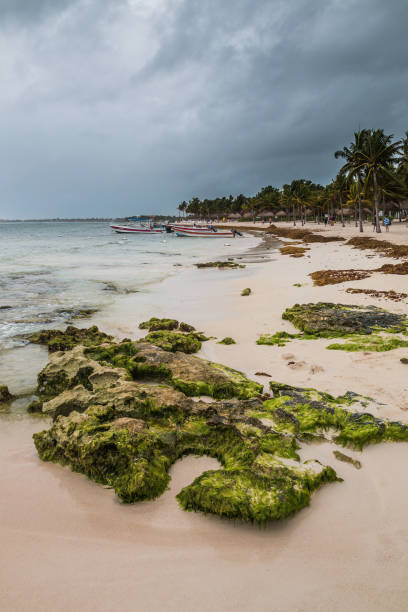 типичный хороший карибский пляж во время тропического шторма - hurricane florida стоковые фото и изображения