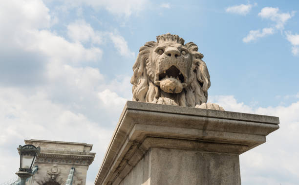 istock The lion statue of Chain Bridge - Budapest - Hungary 1039671102