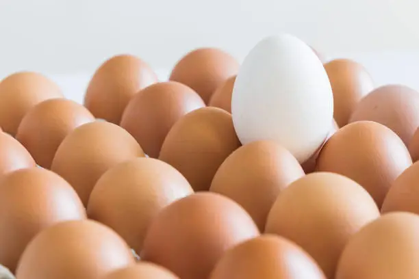 Fresh eggs lie in row on light background. Pattern eggs. Selective focus.