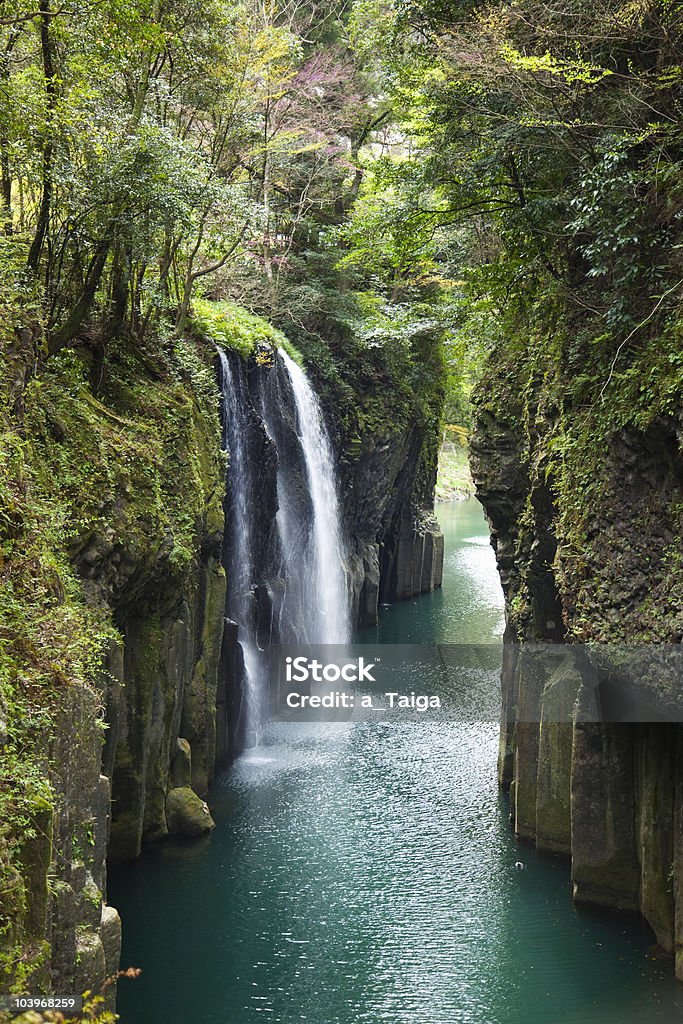 Bela cascata - Foto de stock de Arbusto royalty-free