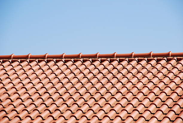 istock Roof tiles 103968511