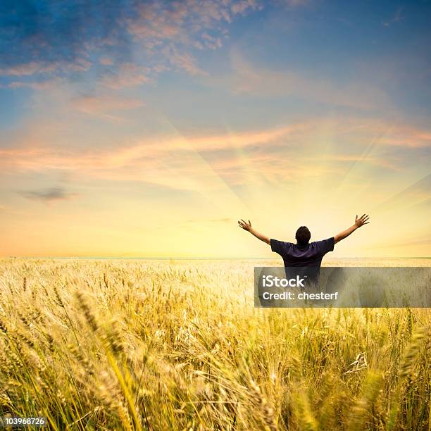 Hombre De Campo De Trigo Foto de stock y más banco de imágenes de Adulto - Adulto, Adulto joven, Agricultura