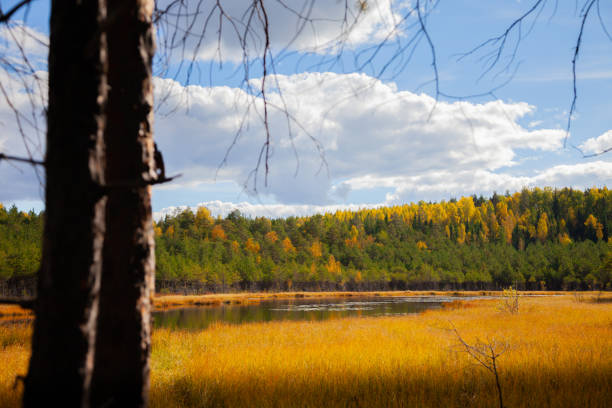 istock lake in autumn forest against blue sky landscape 1039704940