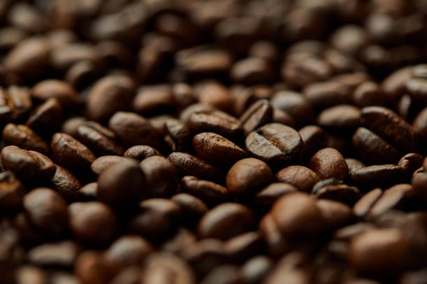 grains de café - coffee crop bean seed directly above photos et images de collection