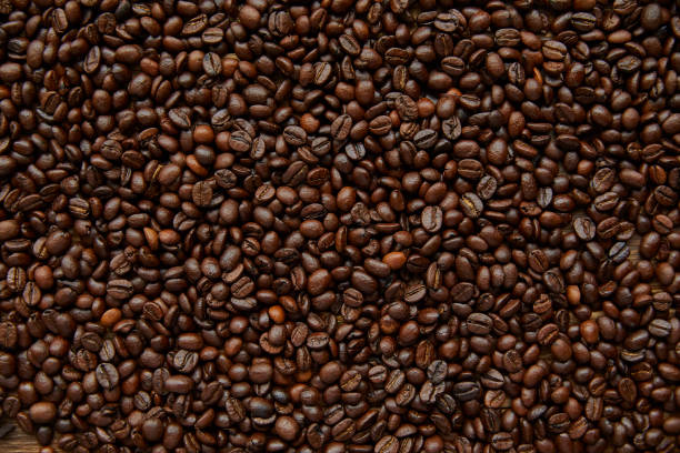 grains de café - coffee crop bean seed directly above photos et images de collection