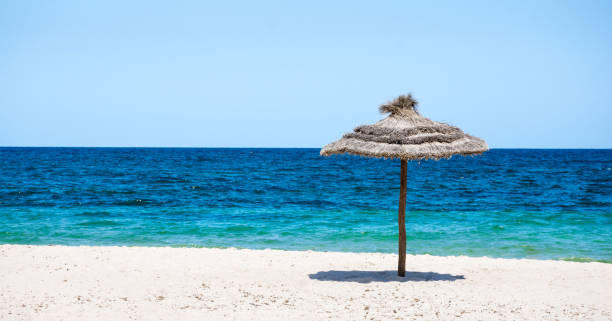 parasol parasol beach on the coast. White sand and blue water of the sea. Panorama.Tunisia sousse tunisia stock pictures, royalty-free photos & images