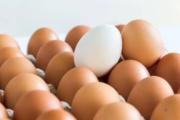 Fresh eggs lie in row on light background. Pattern eggs. Selective focus. Concept of relationship of people