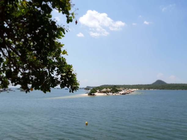 istock ALTER DO CHAO - JACUNDA - AMAZONIA - TAPAJOS - PARA - BRAZIL 1039715854