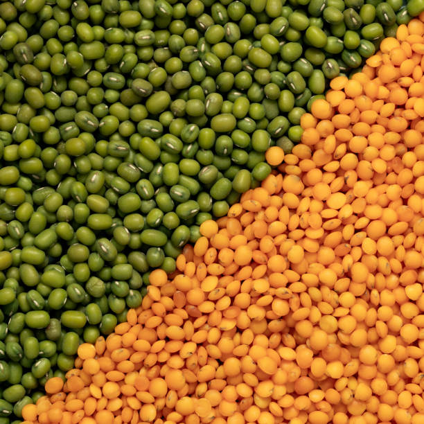 istock orange and green lentils background square 1039720960