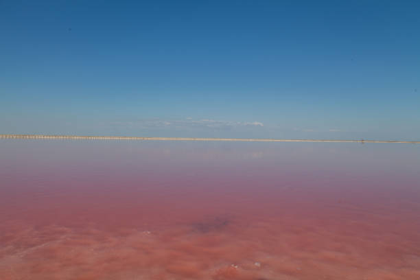 istock Pink Lake with blue sky landscape background 1039727002